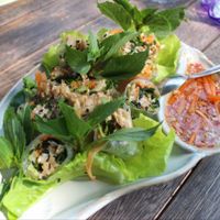 fresh spring rolls, which were amazing!!!  at Veggie Homemade Aurra Ammie in Pak Chong