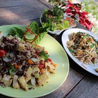 rice with veggies and tofu, pad Thai, and fresh veggie rolls  at Veggie Homemade Aurra Ammie in Pak Chong
