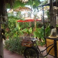 Outdoor seating at Amaluna Restaurant & Lab in Punta Cana