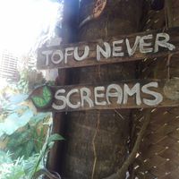 Happy Tofu at Amaluna Restaurant & Lab in Punta Cana