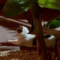 Uno de los camareros :) at Amaluna Restaurant & Lab in Punta Cana