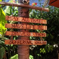 Cool vibe at Amaluna Restaurant & Lab in Punta Cana