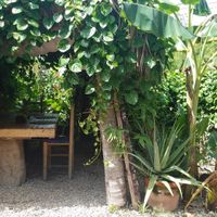 Seating at Amaluna Restaurant & Lab in Punta Cana