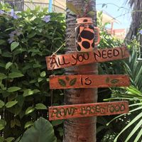 Cute decor ♥️ at Amaluna Restaurant & Lab in Punta Cana