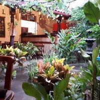 Garden at Pita Pita in El Pizzaiole in Granada