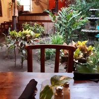 Garden at Pita Pita in El Pizzaiole in Granada