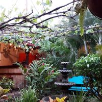 Garden at Pita Pita in El Pizzaiole in Granada