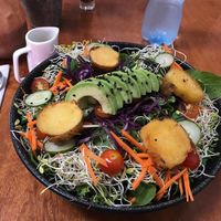 Germinando salad  at Siembra in Lima