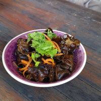 Wood-ear mushroom starter at Tianfuzius in Berlin