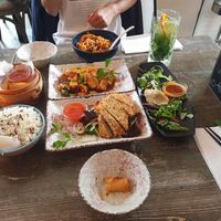 Dan dan noodles, spring rolls, baked chicken, rice, roasted duck and guo tie (dumplings) at Tianfuzius in Berlin