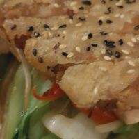 Vegan duck at Tianfuzius in Berlin