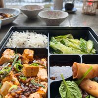 Mapo tofu, spring rolls, cucumber with garlic and chili oil. Lunchbox for 12€. at Tianfuzius in Berlin