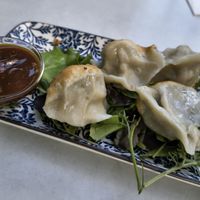 Gebratene Teigtaschen, 6 Euro at Tianfuzius in Berlin