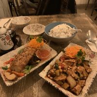 Vegan duck, vegan chicken and rice  at Tianfuzius in Berlin