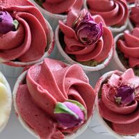  at Pennycakes in Cologne