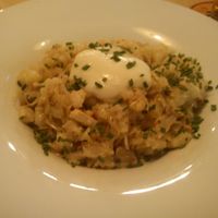 'Halušky' - traditional Slovak food. at Plevel - Jindrisska in Prague