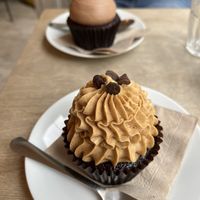   at Brass Monkey in Vienna