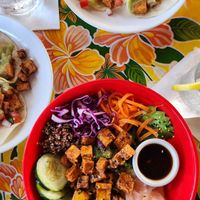 Vegan Poke Salad with Tofu and Vegan Tacos with fried tofu at Cafe Verde in New Smyrna Beach