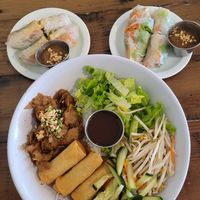 Summer and Autumn rolls and soy beef noodles at All Chay in Salt Lake City