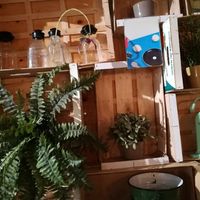 Interior at Greenway in Antwerpen