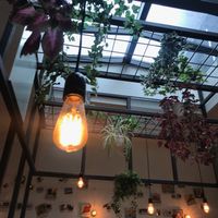 Vintage led bulbs and plastic plants, it gives a good impression nevertheless at Greenway in Antwerpen