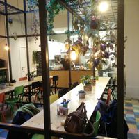 cozy back room full with plants 👌 at Greenway in Antwerpen