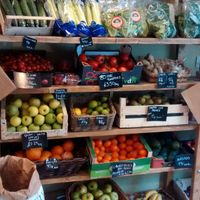 Fresh at Dig-in-Bruntsfield in Edinburgh