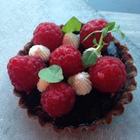 Vegan raspberry chocolate tart at Hortus in The Hague