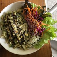 Walnut and basil pesto pasta with salad at Food Forest Organics in Greytown
