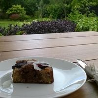 plum cake at Food Forest Organics in Greytown