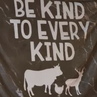  at The Vegan Bar in Malmo