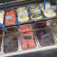 Vegan ice creams and sorbets (blue spoons)   at Gelateria dell Angeletto in Rome