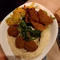 Falafel with hummus at Mahmoud's - Bergheimerstrasse in Heidelberg