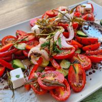  at roots in Thessaloniki