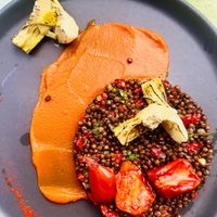 Delicious beluga lentil salad with carrot cream, grilled artichokes and tomates confit at roots in Thessaloniki