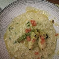  at roots in Thessaloniki