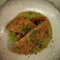  at roots in Thessaloniki