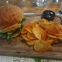 Mushroomburger at roots in Thessaloniki