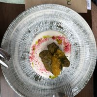 Traditional stuffed wine leaves  at roots in Thessaloniki