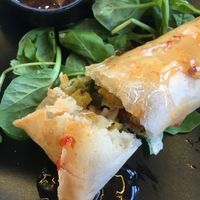 Spring roll at roots in Thessaloniki