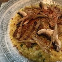 Pilz Risotto mit Parmesan vegan  at roots in Thessaloniki