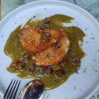 Camamber at roots in Thessaloniki