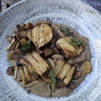  at roots in Thessaloniki