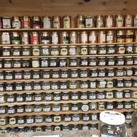 Teas at Granite State Naturals in Concord