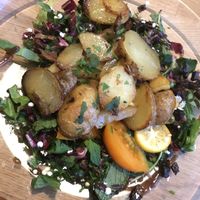 Wildkräutersalat mit ‘Speckwürfel’ at triVida in Klagenfurt