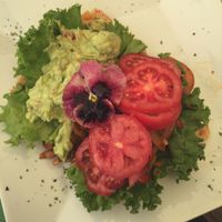 avocado toast at The Green Patio in Cusco