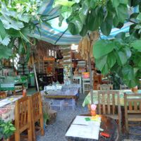 It's like dining in a garden :) at Mild cafe in Chiang Mai
