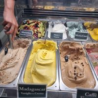 Clearly labelled vg options at Gelatoteca SuSo in Venice