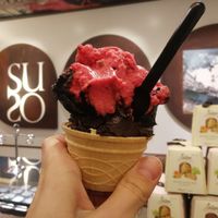 Delicious icecream at Gelatoteca SuSo in Venice