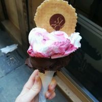 vegan ice with vegan cone at Gelatoteca SuSo in Venice